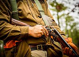 hunting quail in georgia on plantation