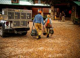 Finishing up a day of GA quail hunting