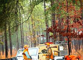 Quail hunters and jeep