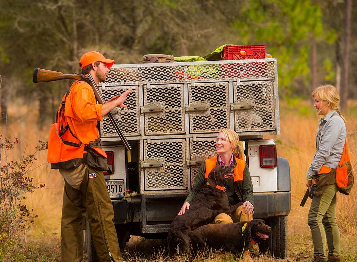 Quail Hunting Guides